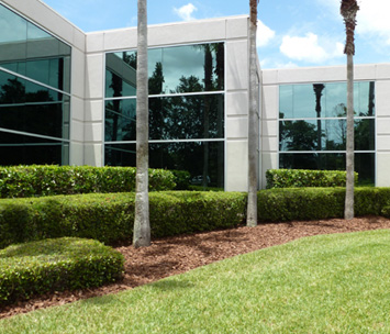 Mulch Installation in Rochester