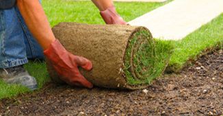 SOD Installation Rochester